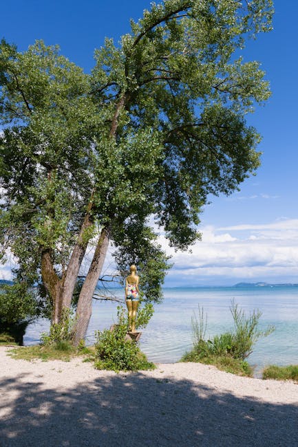 Corporate insurance solutions